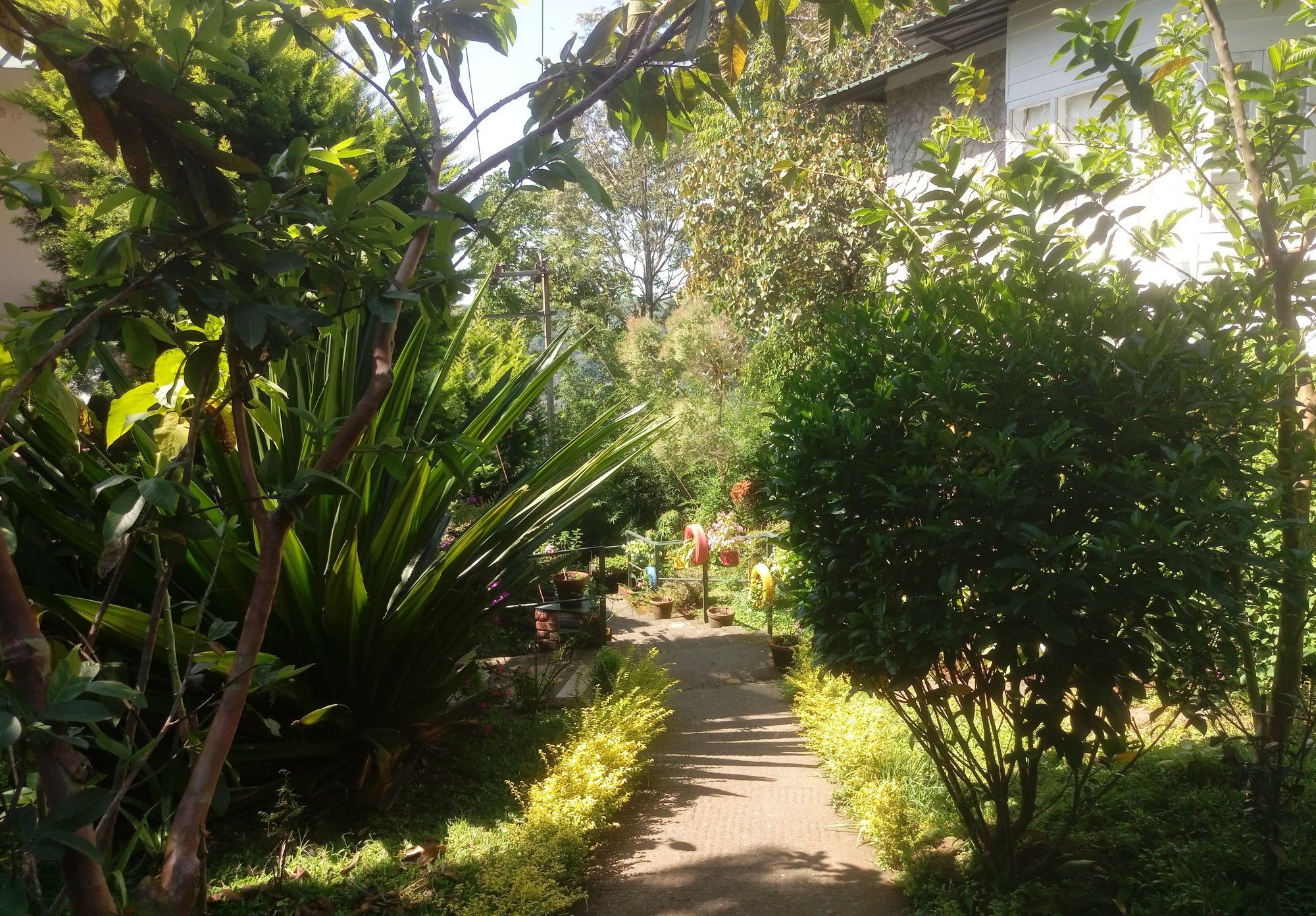 Spicetree Munnar Hotel Chinnakanal Ngoại thất bức ảnh